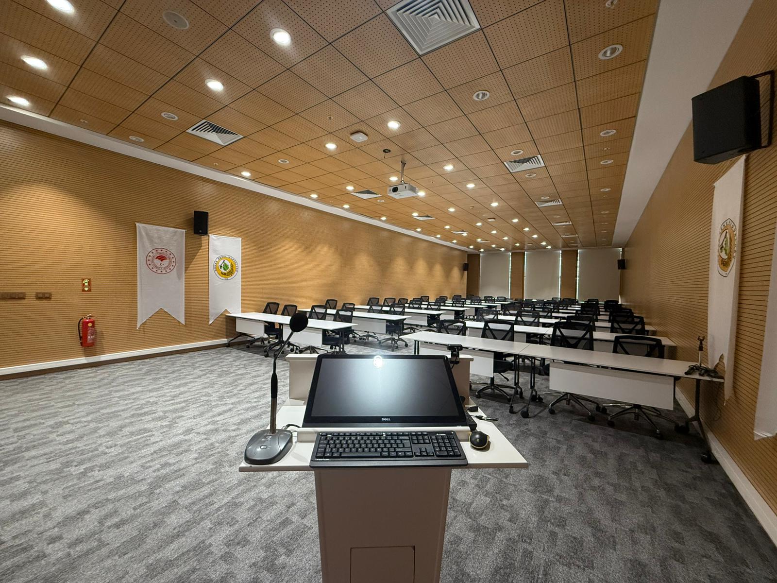 Side Hall 1